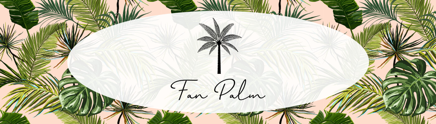 Fan Palm Fan Palm