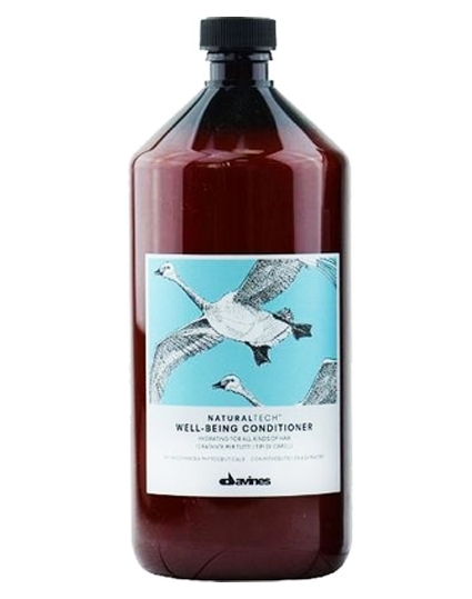 Davines Natural Tech Well-Being Conditioner 1000 ML Health & Beauty Personal Care Hair Shampoo Conditioners Beautycos