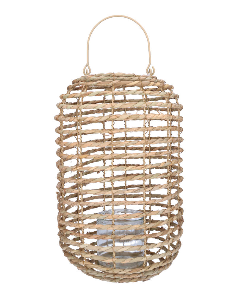 Lantern Natural Cattail 27X37C   1 stk.